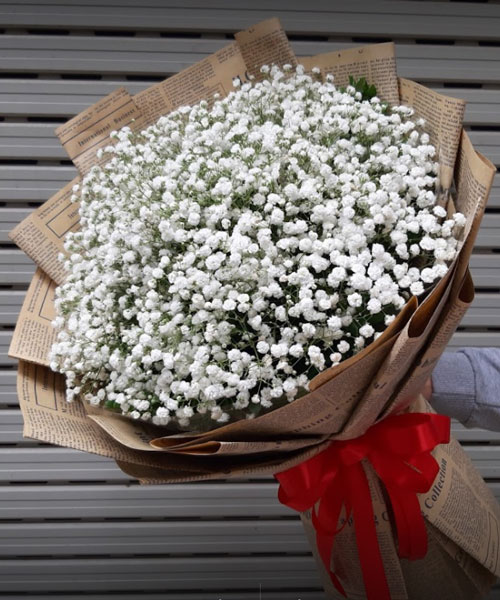 tiệm hoa tươi huyện Bình Chánh