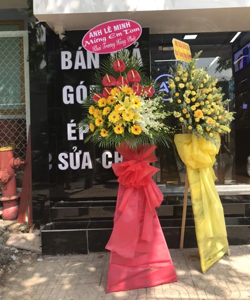 Hoa tươi quận Phú Nhuận