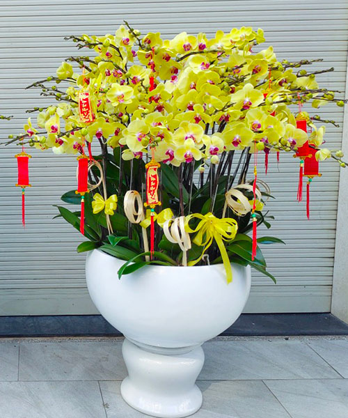 lan ho diep quan 3