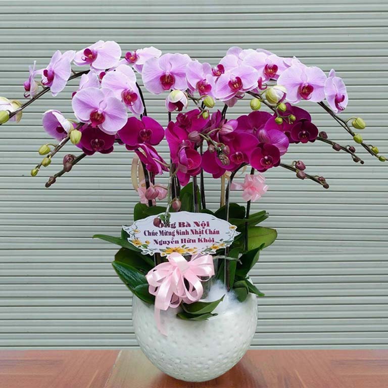 shop hoa tươi quận tân phú