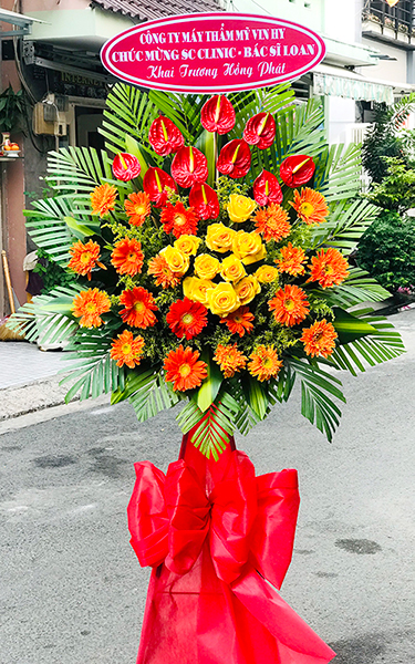 hoa khai truong gia re   hkt289