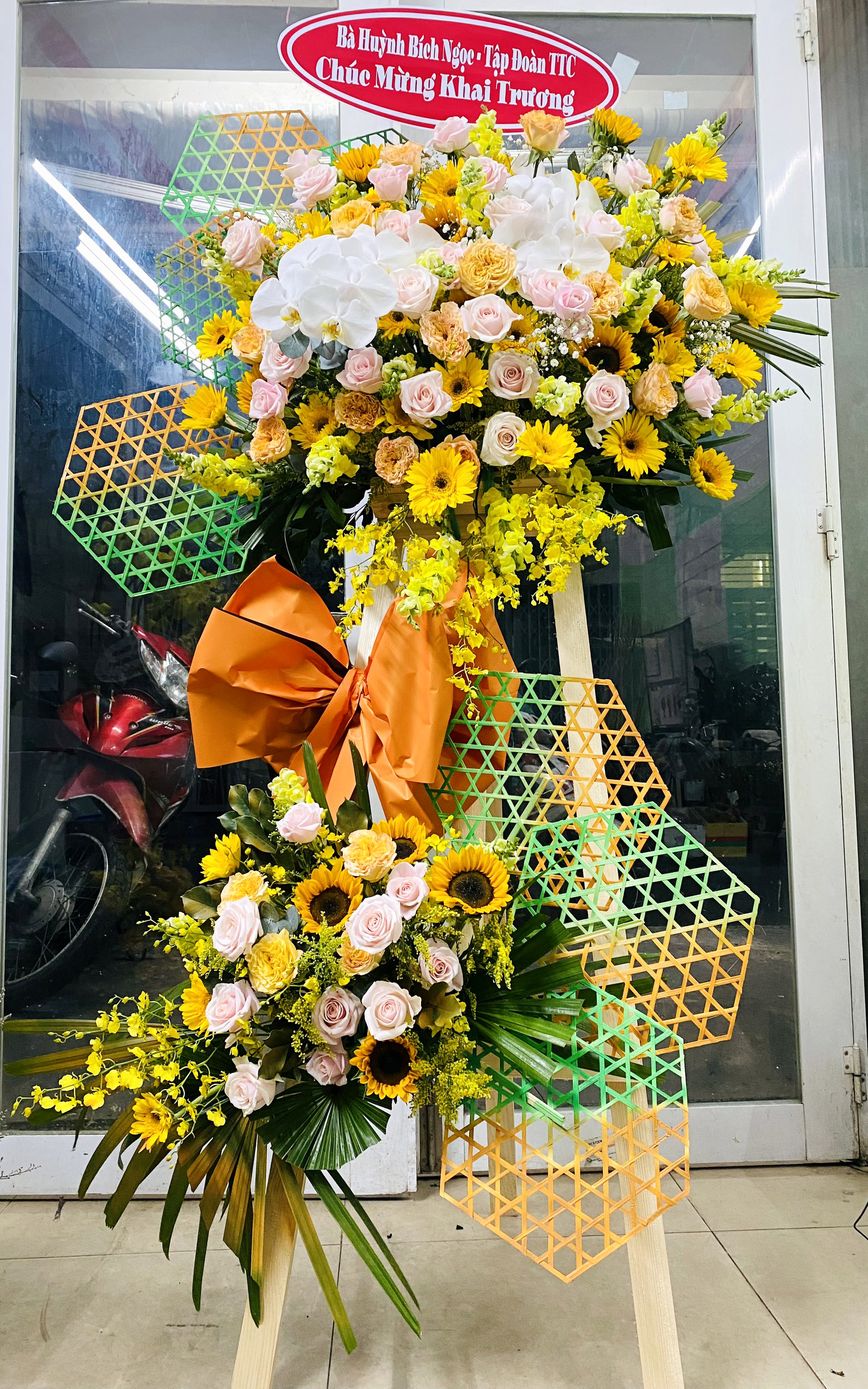 hoa khai truong gia re   hkt379