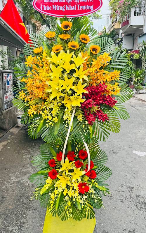 hoa khai truong hong phat   hkt378