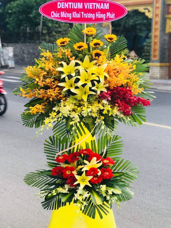 hoa mung khai truong   hkt383