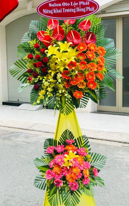 hoa tang khai truong   hkt377