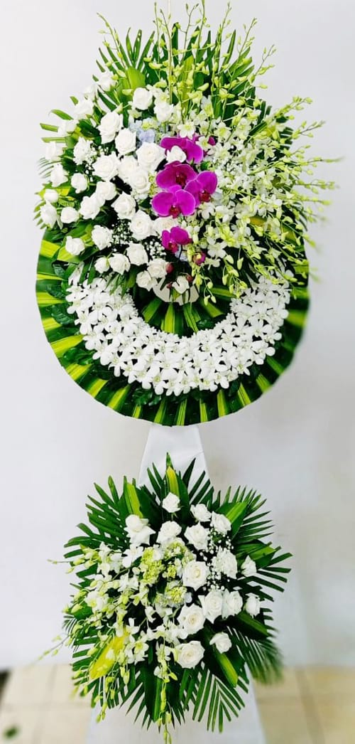 hoa tang le lan va ly vang   htl204