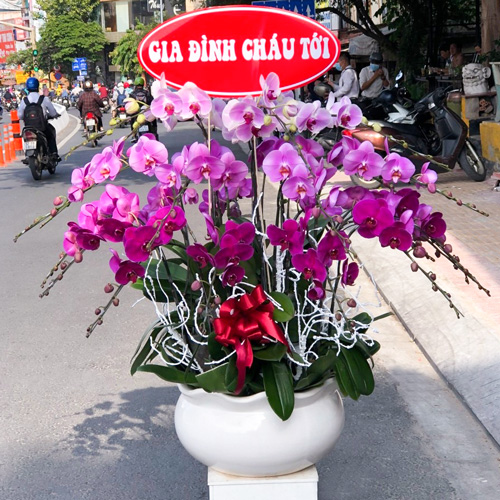 lan ho diep 15 canh   hd288