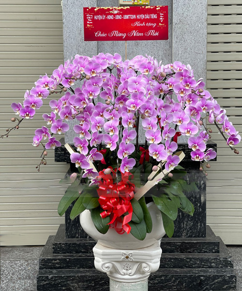 lan ho diep 15 canh dep   hd345